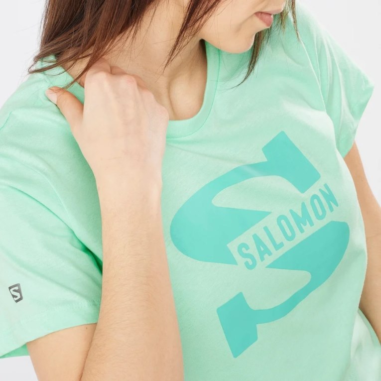 Mint Salomon Outlife Big Logo Short Sleeve Women's T-Shirts | IE CM9561